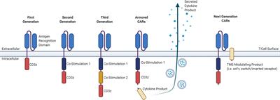 Befriending the Hostile Tumor Microenvironment in CAR T-Cell Therapy